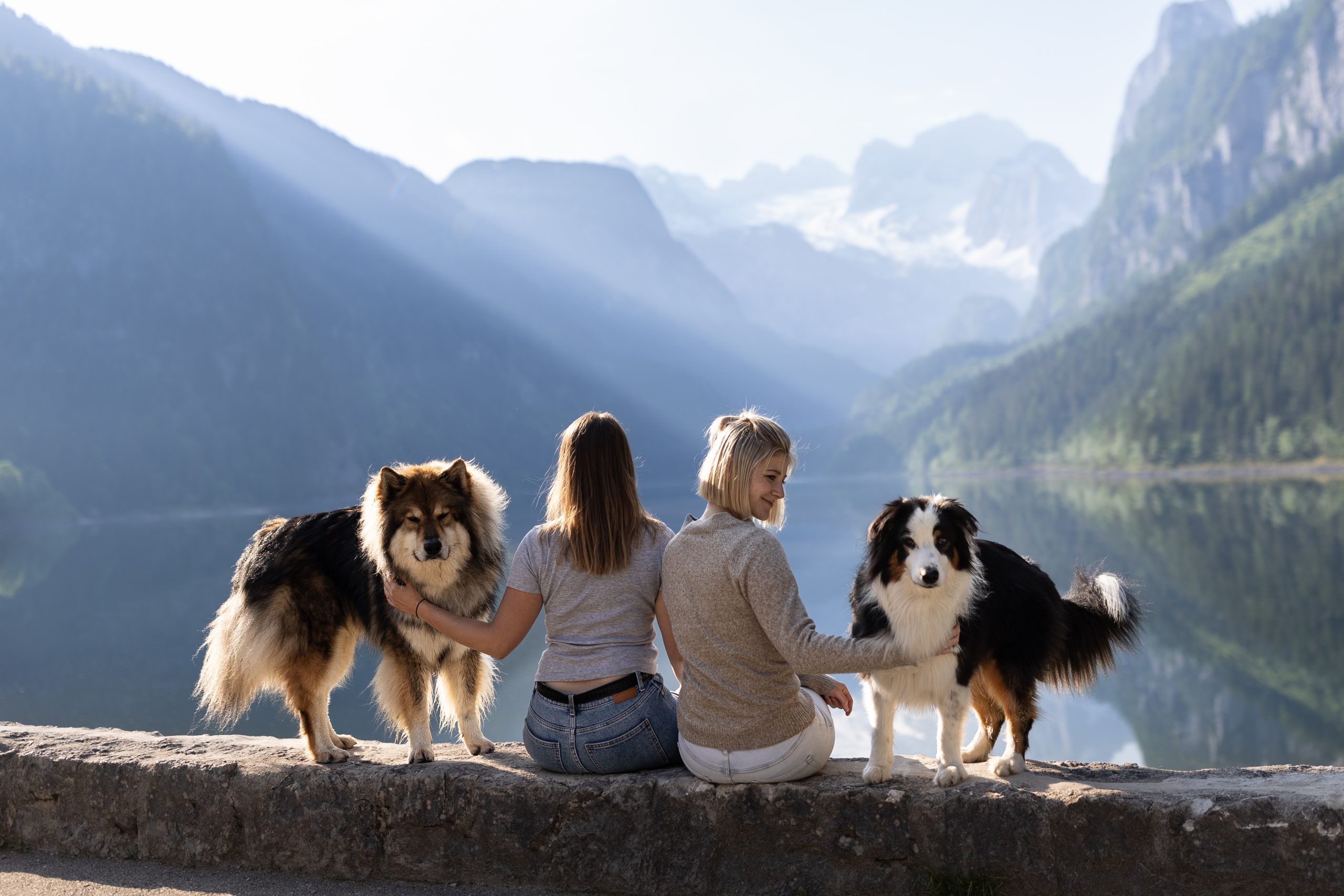 Hundefotografie better together Mensch Hund Fotografie Mensch Hund Beziehung Hundefotoshooting Fotoshooting mit Hund Steiermark Salzburg Oberösterreich Tirol Vorarlberg Schweiz Appenzell Bayern Weilheim München Garmisch Partenkirchen Allgäu Hundevideograf Hundevideoshooting Hundevideografie Deutschland Europa Welpenfotoshooting Wandern mit Hund Hunde die Wandern Abenteuerhunde Berg gehen mit Hund