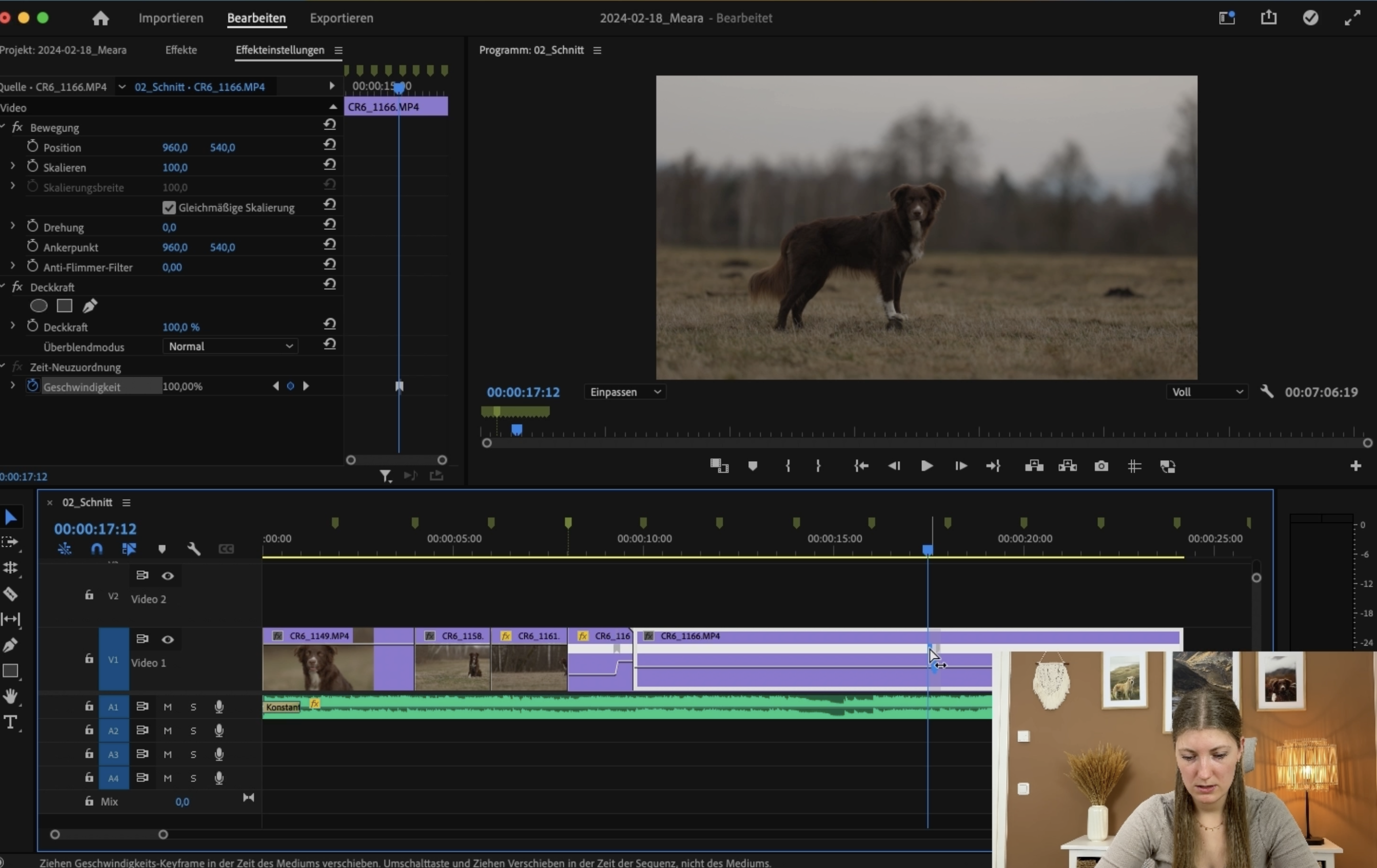 Videografie lernen Hundevideografie Hundevideos Cinematische Aufnahmen kreieren Wie mache ich stabile Videos Videostabilisierung Stabilisierung Videos Gimbal Emotionale Videografie Mensch-Hund-Bindung Mensch-Hund-Team