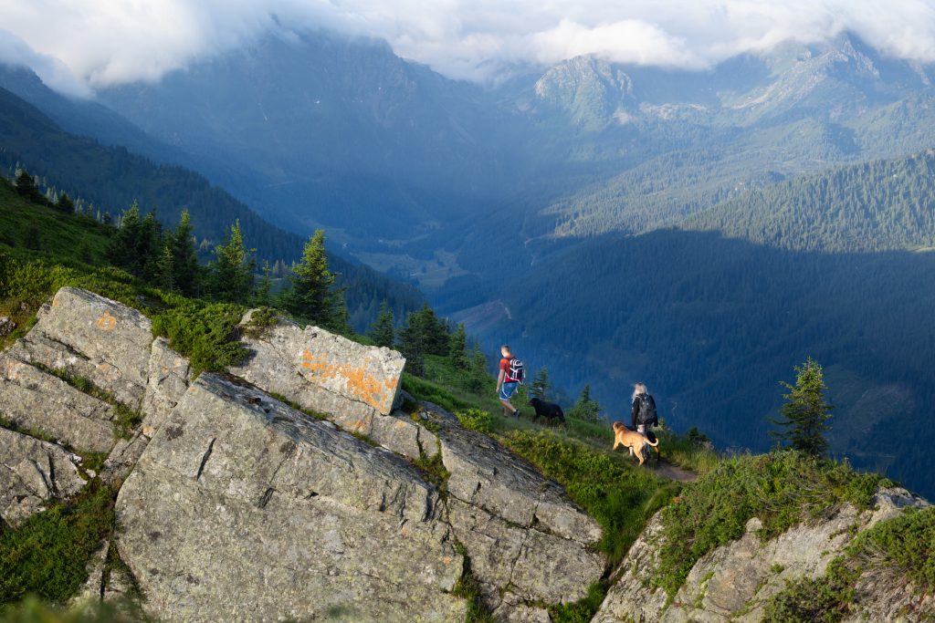 Fotowanderung mit Hund in Österreich Wanderfotoshooting mit Hund Hundefotoshooting in den Bergen