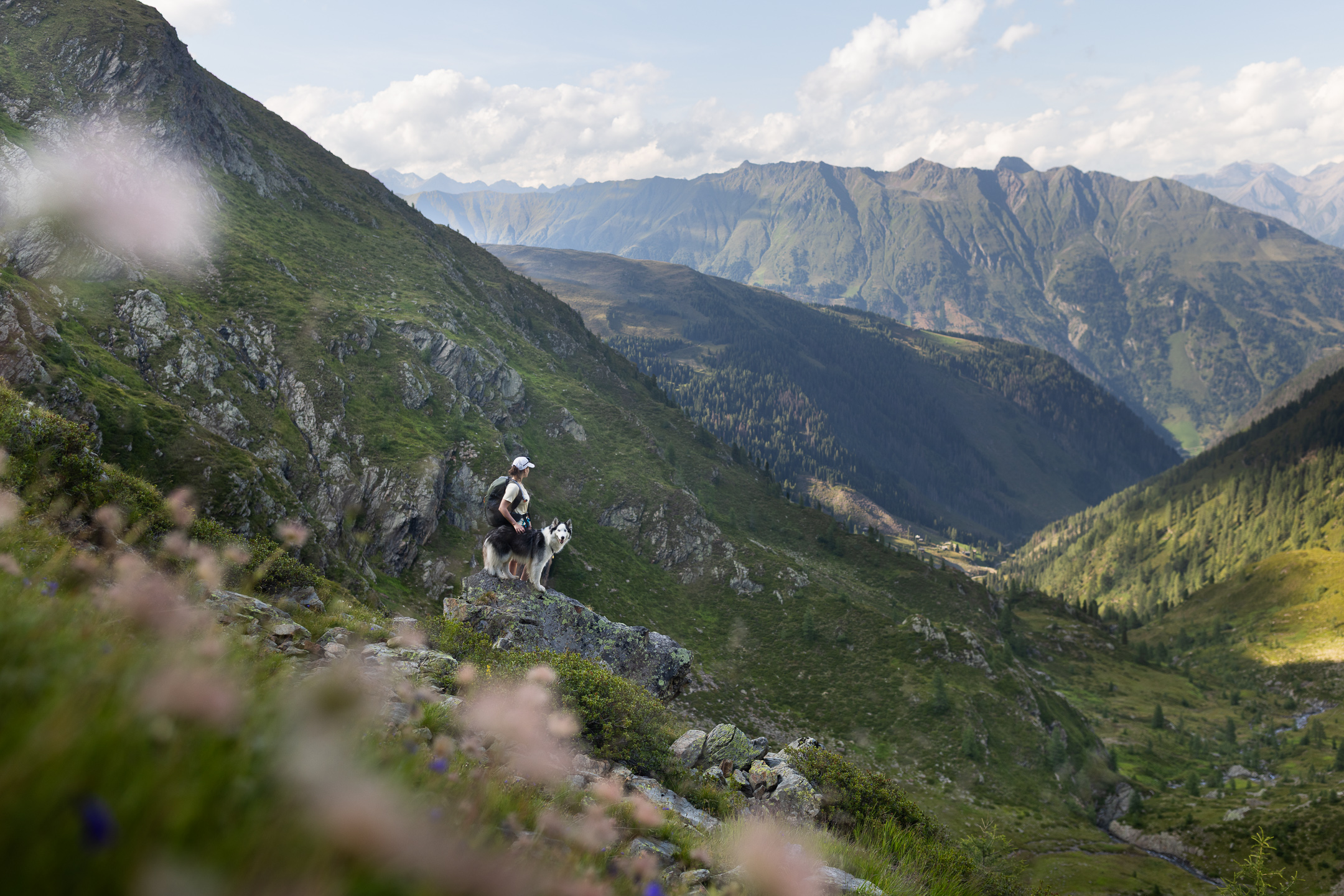 Eine Frau und ihr Husky posieren auf einem Stein mit Aussicht auf den Großglockner</p>
<p>Wandern mit Hund Urlaub mit Hund Osttirol