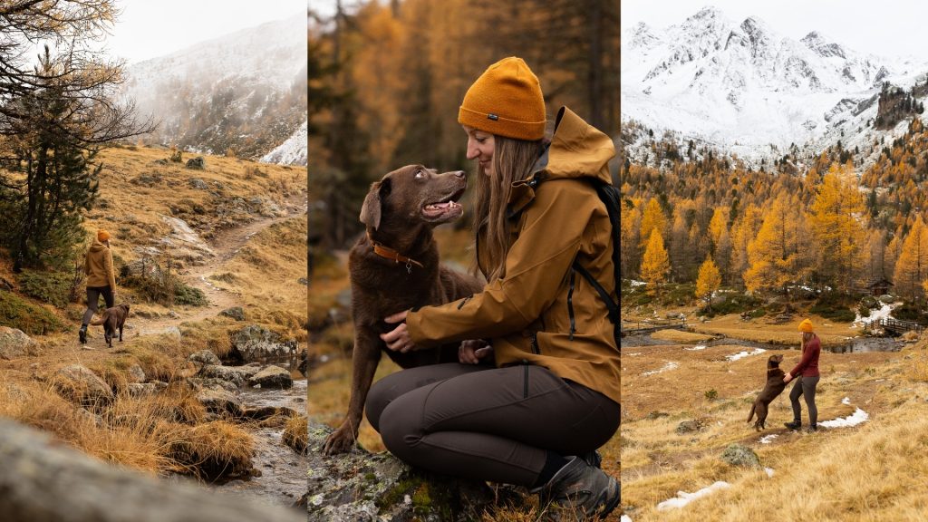 Mensch Hund in goldenen Lärchen Wandern in Südtirol mit Hund Goldene Lärchen Wanderung